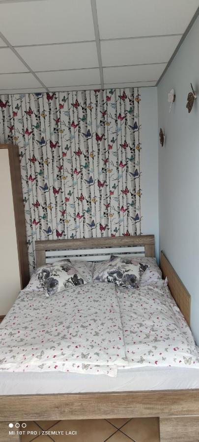 Hodosi Apartman Apartment Velky Meder Exterior photo